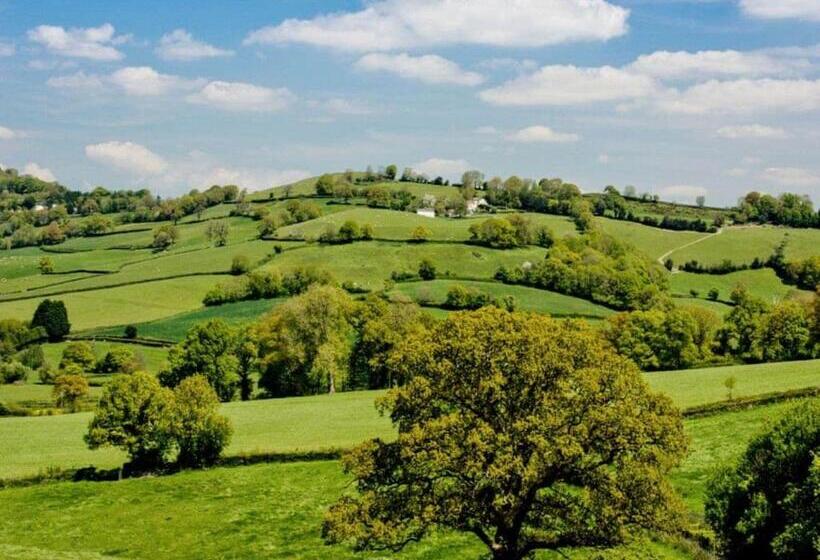 منتجع Andrewshayes Orchard Retreat