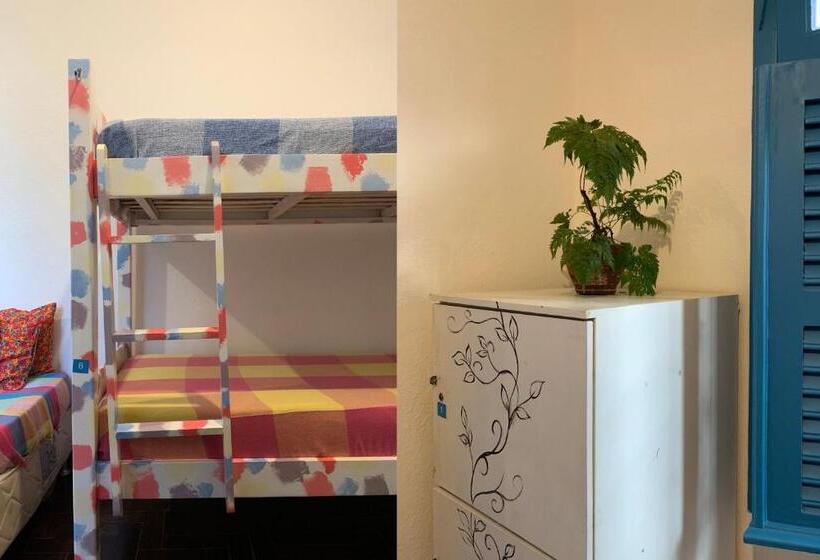 Zili Pernambuco   Hostel Pousada