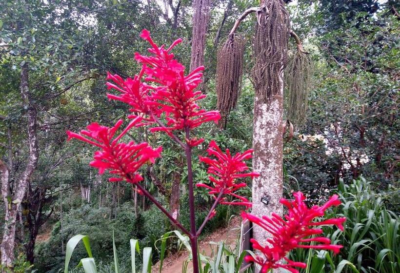 مبيت وإفطار Kavishka Guest House