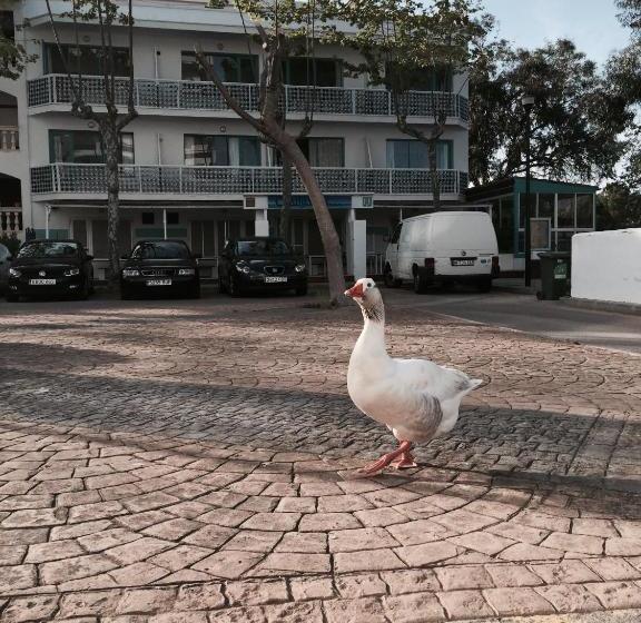 Canyamar Beach Hotel