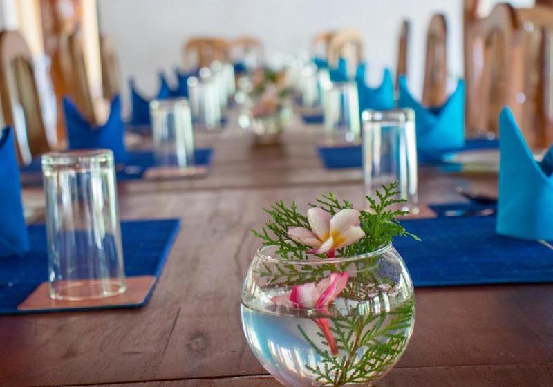 Отель Dambulla Nature Resort