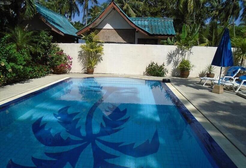 بنسيون Baan Coconut