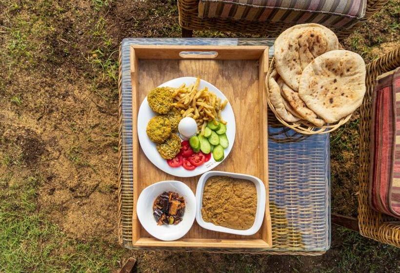 Pensjonat The Grand Pyramids View