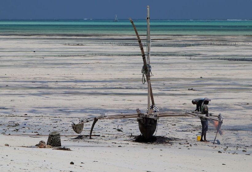 بنسيون Yellow Card Apartment & Bungalow