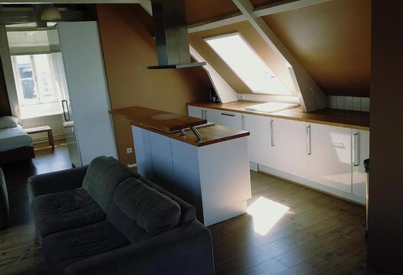 پانسیون Museum District Guest Suite Amsterdam Center