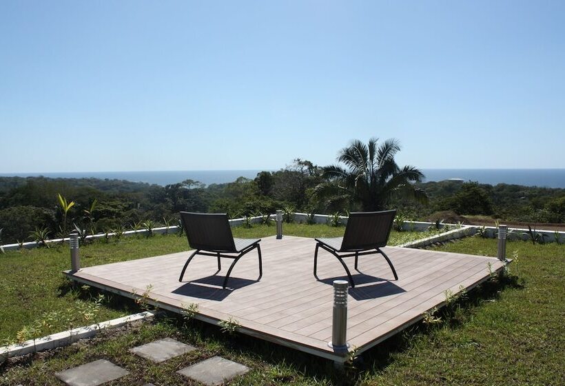 Bella Luna   Luna 33