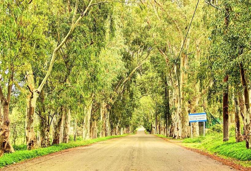 Cretan Breeze Villa Heated Pool