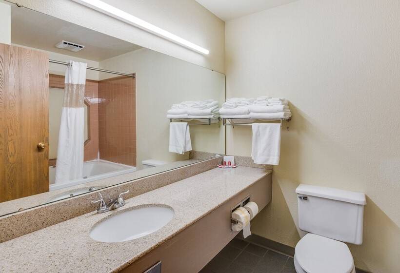 호텔 Econo Lodge Whitehall Near Michigan S Adventure