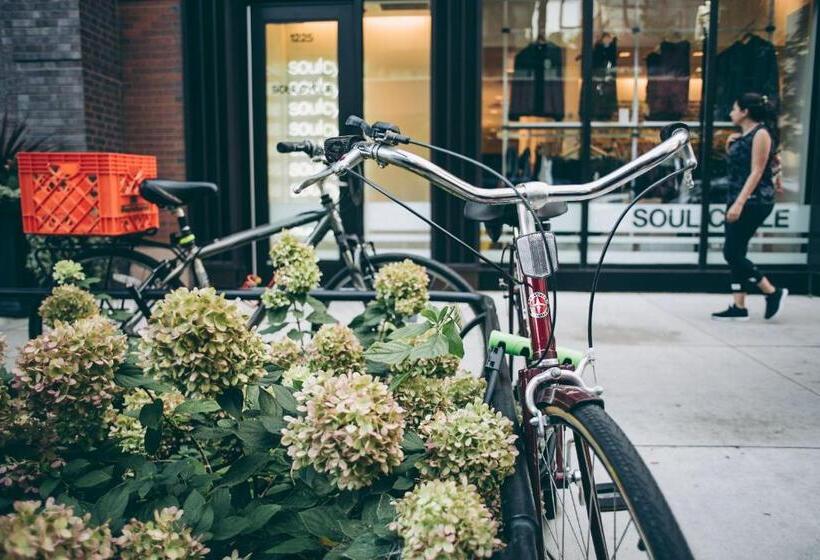 Level Chicago  Old Town