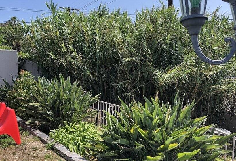 بنسيون Beverly Boutique Apartroom Of Hollywood