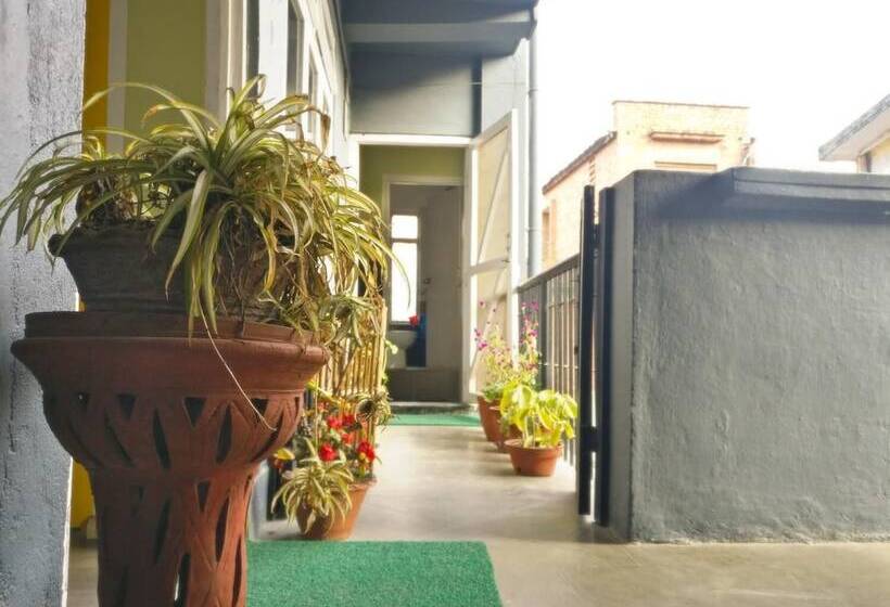 پانسیون Sun Apartment & Guest House