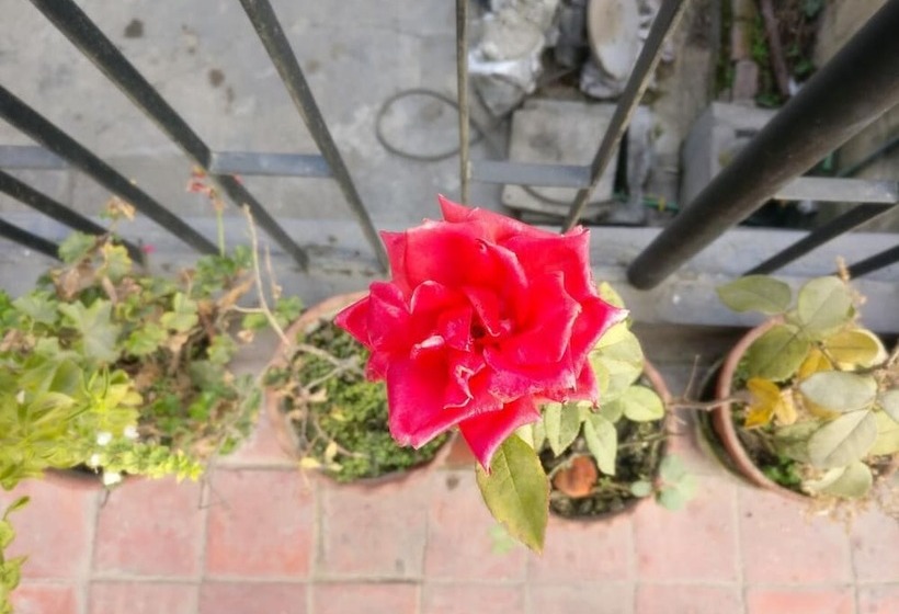 پانسیون Sun Apartment & Guest House