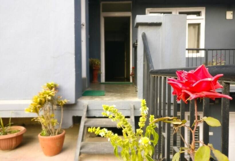 پانسیون Sun Apartment & Guest House