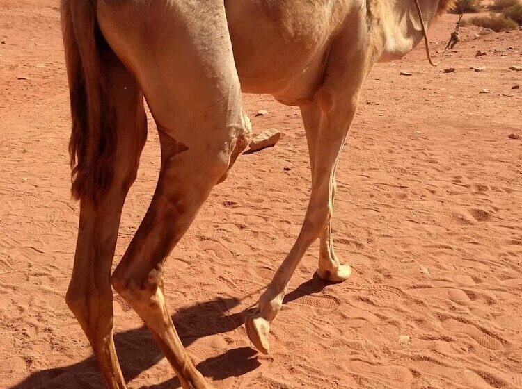 پانسیون Youth Guest House