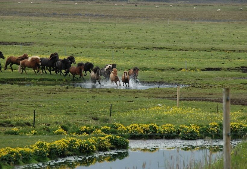 Smáratún Farm Eco Lodges