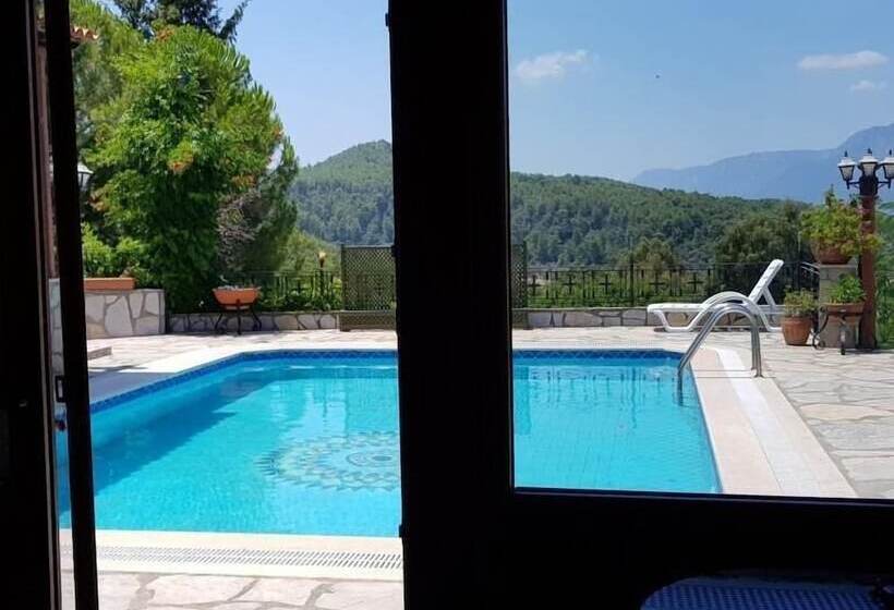 Villa Olive Tree
