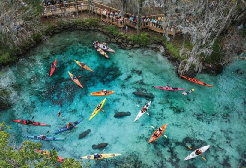 هاستل Bposhtels Orlando Florida Mall