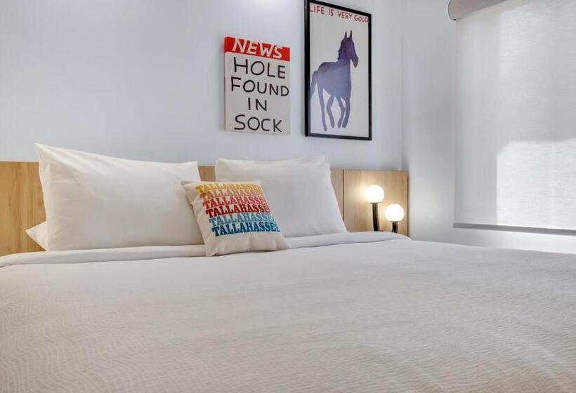 Bob Hotels Tallahassee   Boutique On Budget