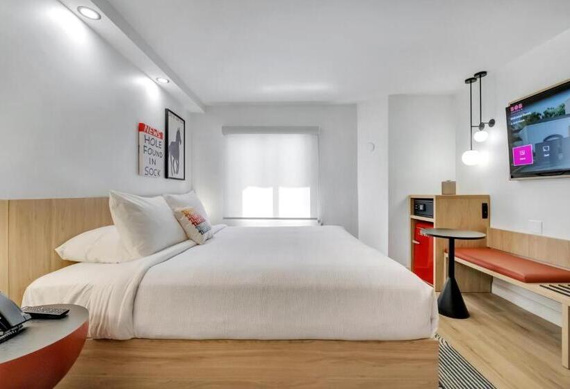 Bob Hotels Tallahassee   Boutique On Budget