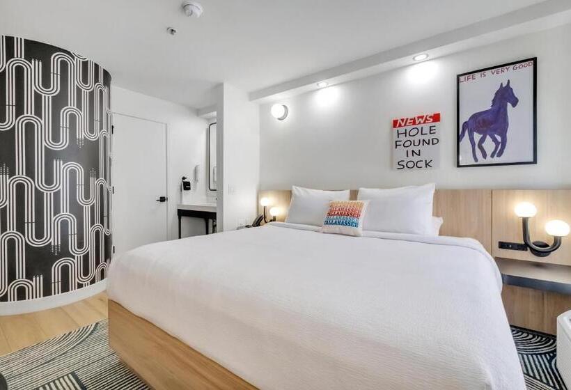 Bob Hotels Tallahassee   Boutique On Budget