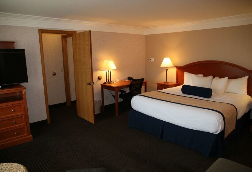 ホテル Best Western Plus Silver Saddle Inn