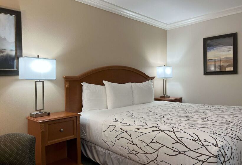 ホテル Best Western Plus Silver Saddle Inn