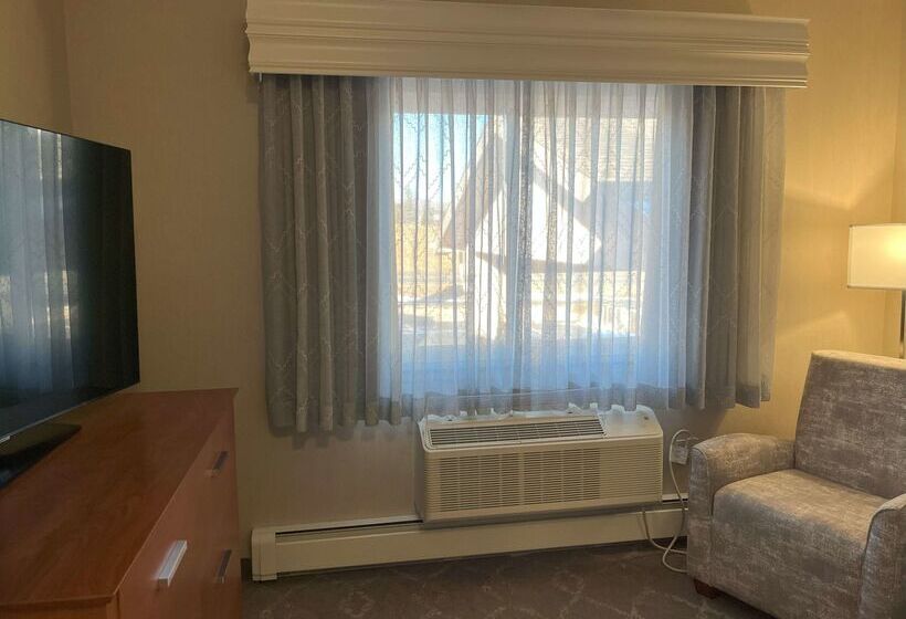 ホテル Best Western Plus Silver Saddle Inn