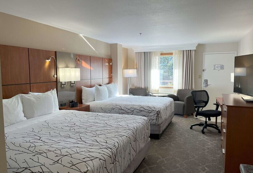 ホテル Best Western Plus Silver Saddle Inn