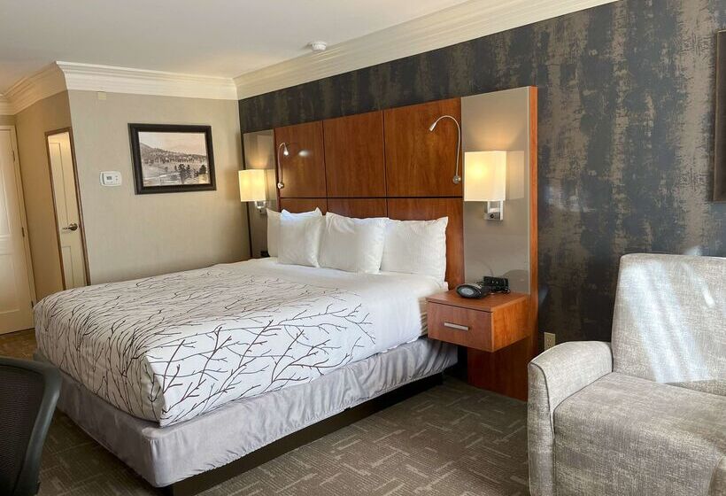 ホテル Best Western Plus Silver Saddle Inn