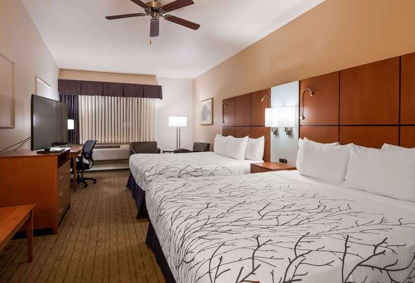 ホテル Best Western Plus Silver Saddle Inn