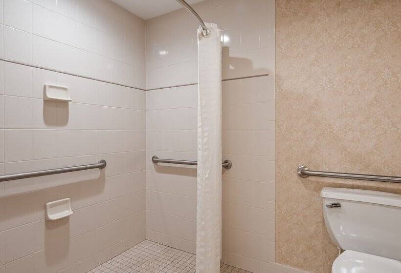 ホテル Best Western Plus Silver Saddle Inn