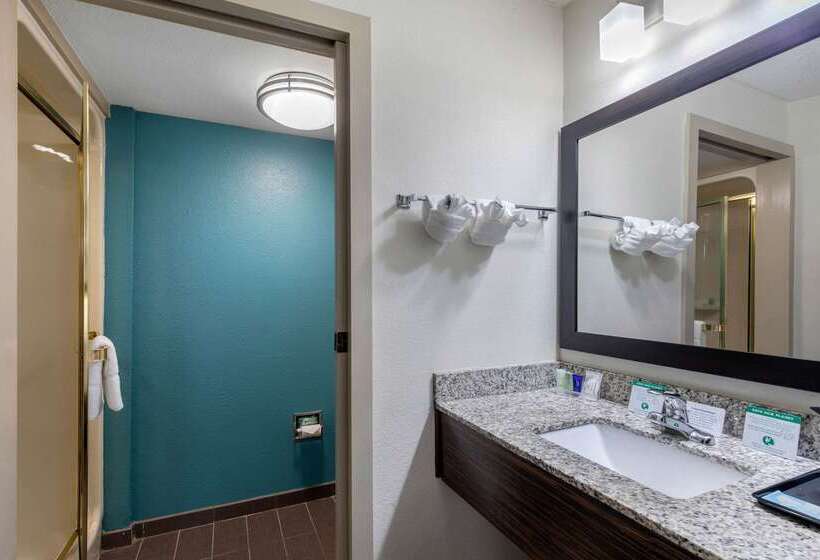 ホテル Clarion Inn & Suites Dfw North