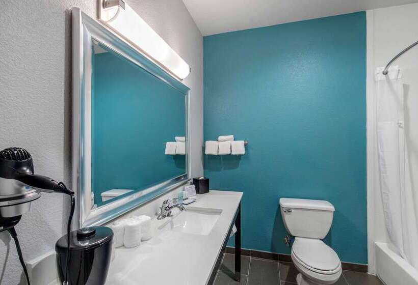 هتل Clarion Inn & Suites Dfw North