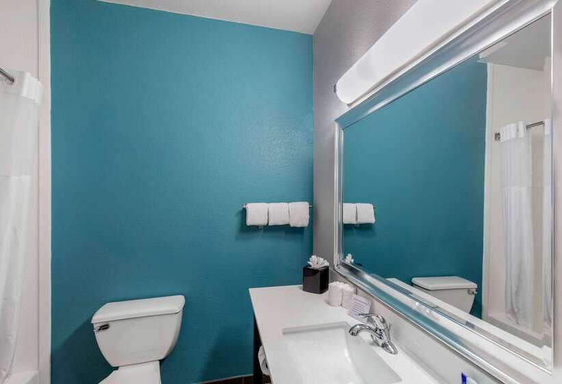 ホテル Clarion Inn & Suites Dfw North