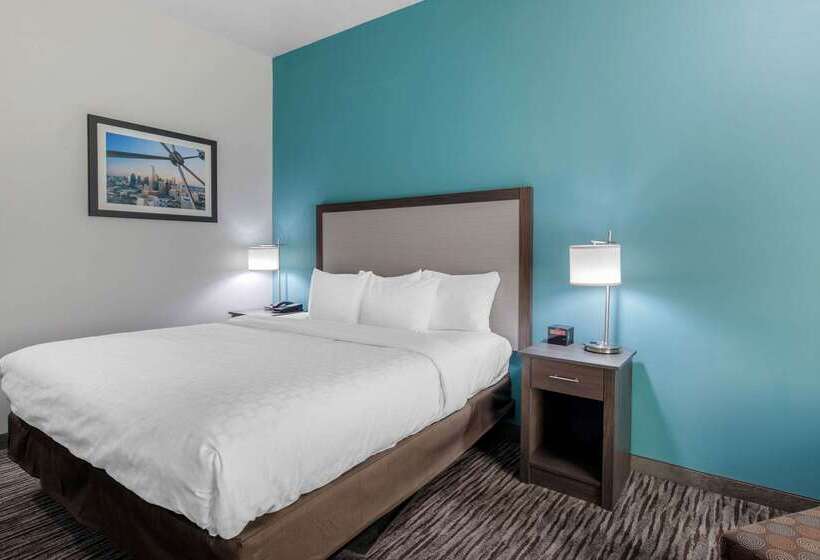 ホテル Clarion Inn & Suites Dfw North