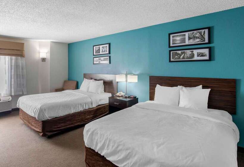 ホテル Clarion Inn & Suites Dfw North