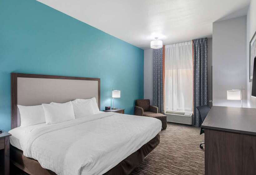 ホテル Clarion Inn & Suites Dfw North