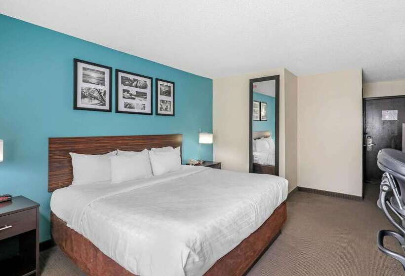 ホテル Clarion Inn & Suites Dfw North