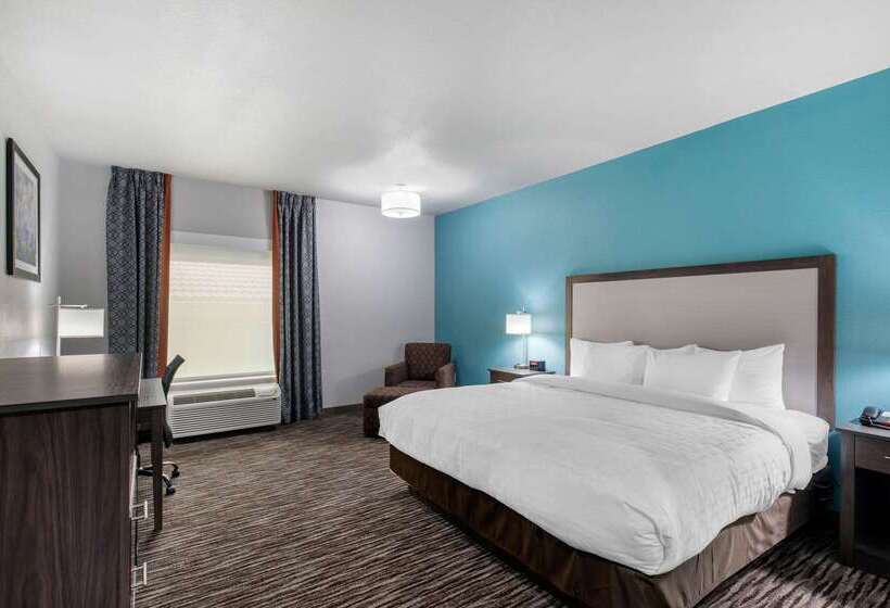 هتل Clarion Inn & Suites Dfw North
