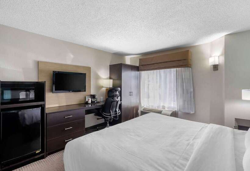 ホテル Clarion Inn & Suites Dfw North