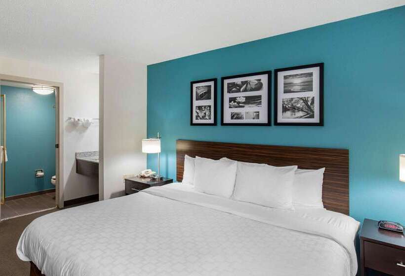 هتل Clarion Inn & Suites Dfw North