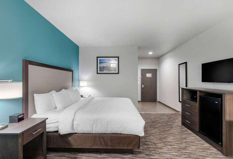 ホテル Clarion Inn & Suites Dfw North