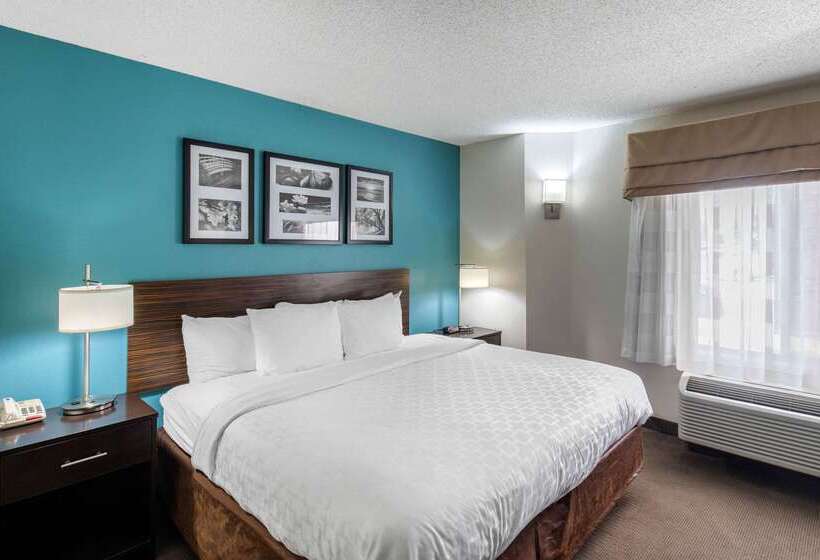 ホテル Clarion Inn & Suites Dfw North