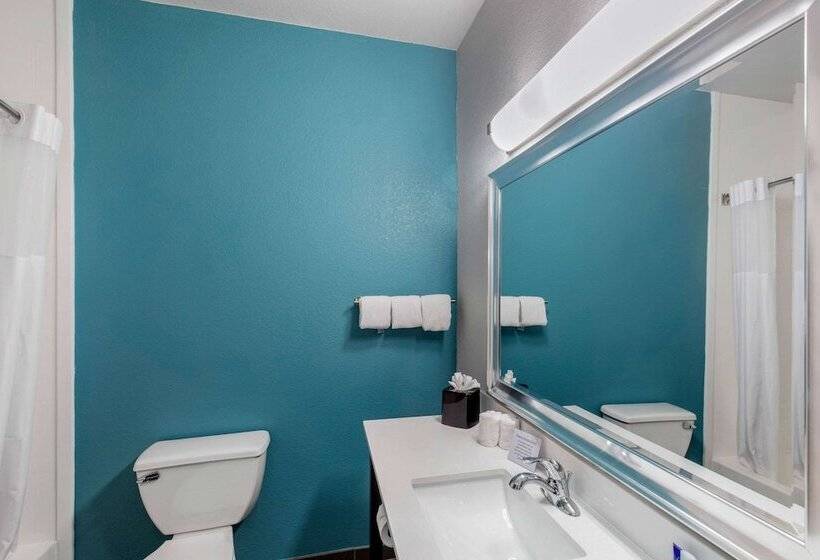 ホテル Clarion Inn & Suites Dfw North