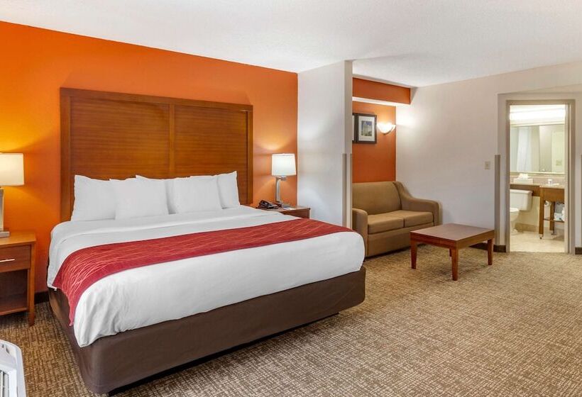 Отель Comfort Inn Greensboro  Kernersville