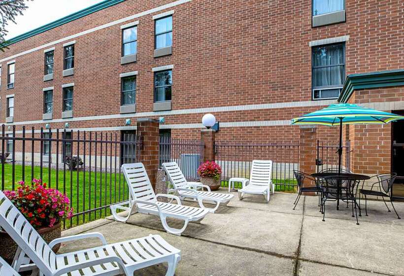 فندق Comfort Inn Indianapolis North  Carmel