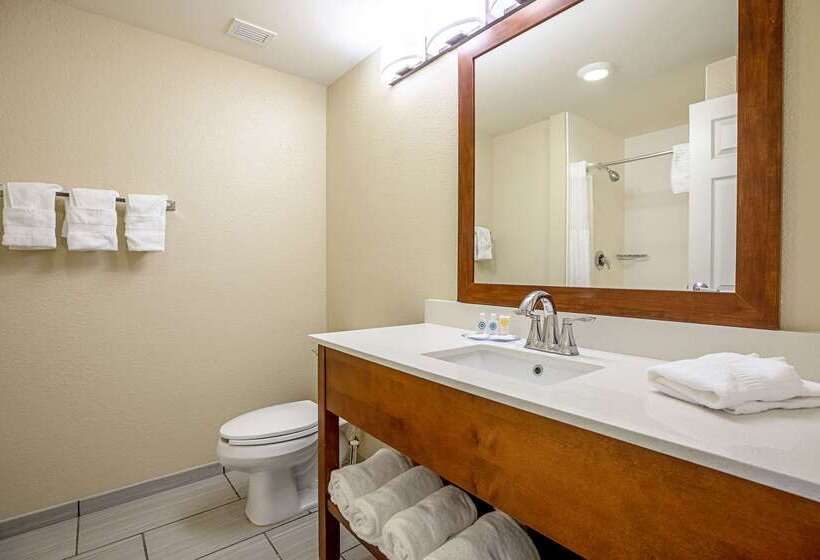 فندق Comfort Inn Indianapolis North  Carmel