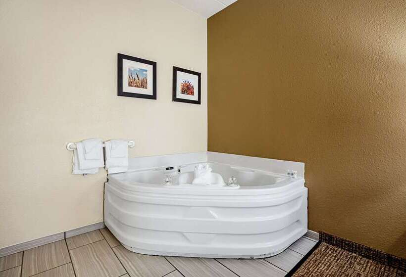 فندق Comfort Inn Indianapolis North  Carmel