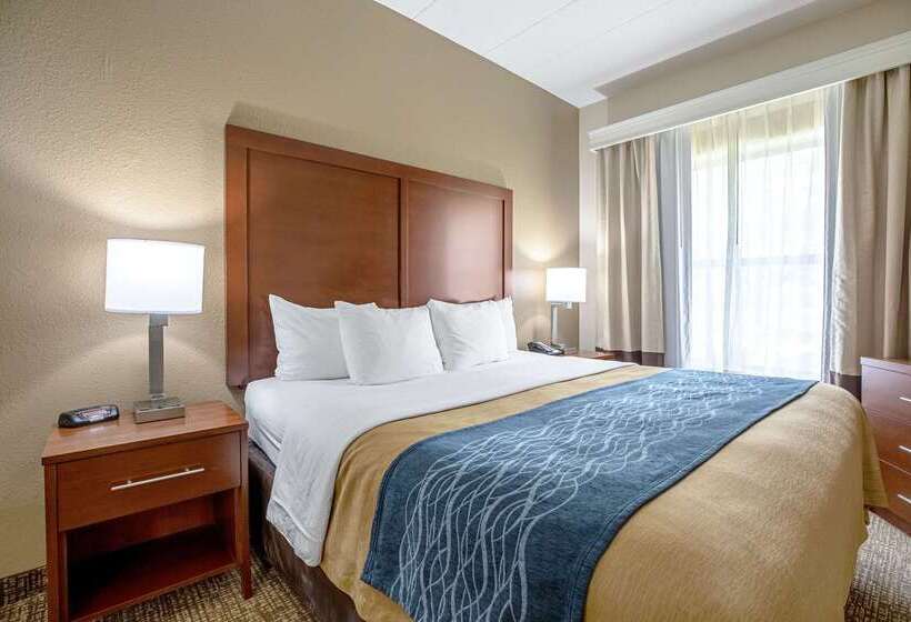 فندق Comfort Inn Indianapolis North  Carmel