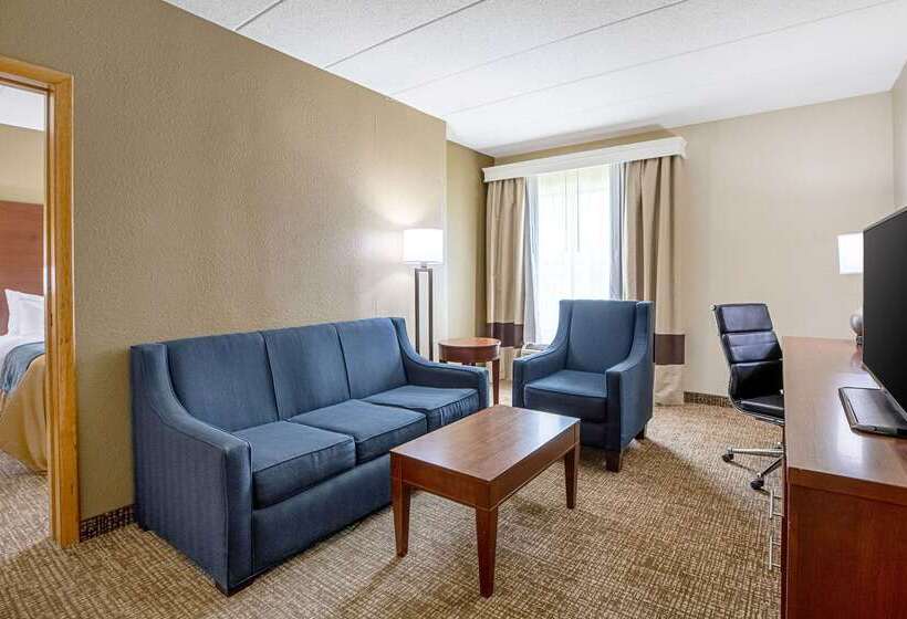 فندق Comfort Inn Indianapolis North  Carmel